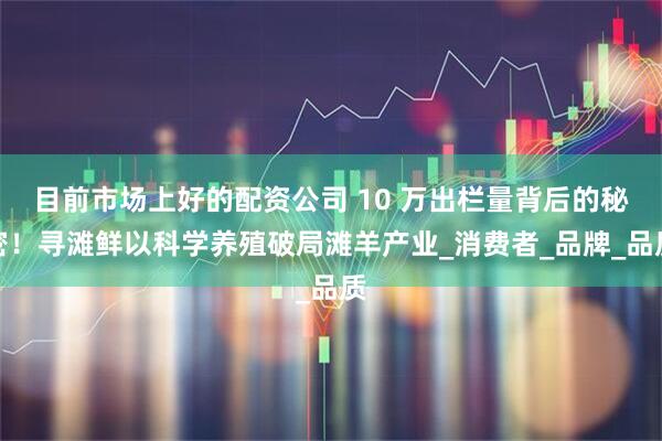 目前市场上好的配资公司 10 万出栏量背后的秘密！寻滩鲜以科学养殖破局滩羊产业_消费者_品牌_品质