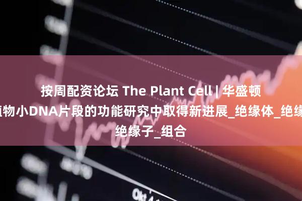按周配资论坛 The Plant Cell | 华盛顿大学在植物小DNA片段的功能研究中取得新进展_绝缘体_绝缘子_组合