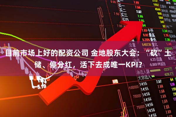 目前市场上好的配资公司 金地股东大会：“砍”土储、停分红，活下去成唯一KPI？